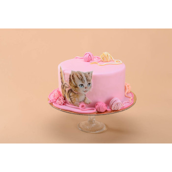 Cake "Kitten Road" 2 kg